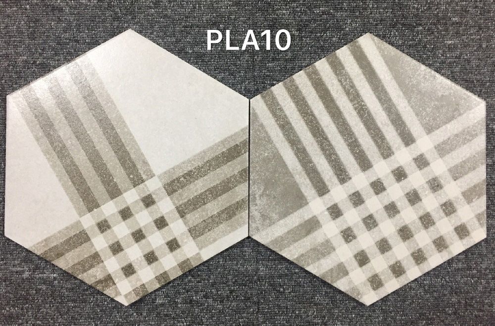 PLA10-1