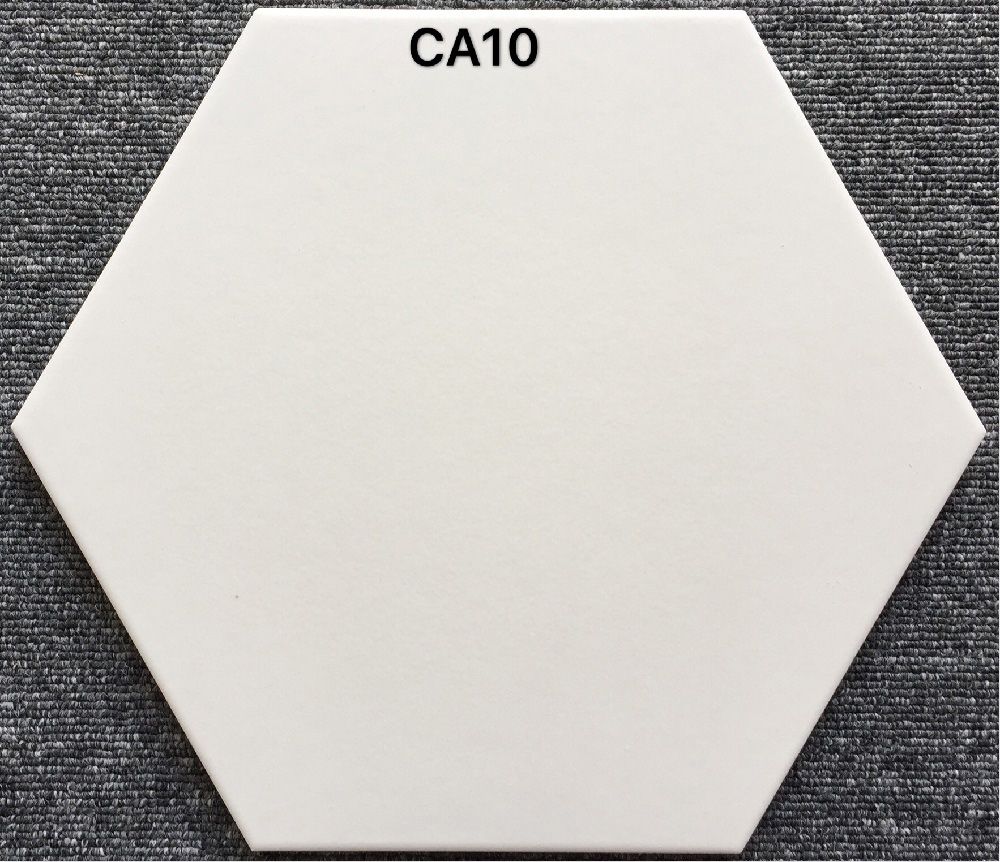 CA10-260X300mm-1