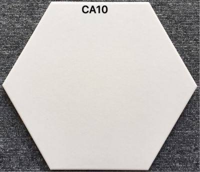 CA10 260X300x150mm 