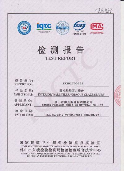 test report 